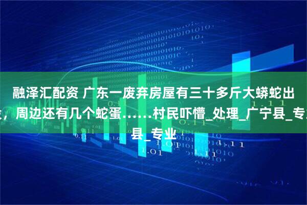 融泽汇配资 广东一废弃房屋有三十多斤大蟒蛇出没，周边还有几个蛇蛋……村民吓懵_处理_广宁县_专业