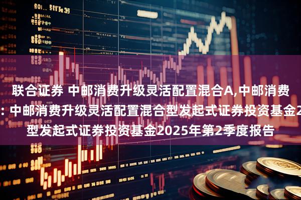 联合证券 中邮消费升级灵活配置混合A,中邮消费升级灵活配置混合C: 中邮消费升级灵活配置混合型发起式证券投资基金2025年第2季度报告